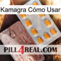 Kamagra Cómo Usar new13